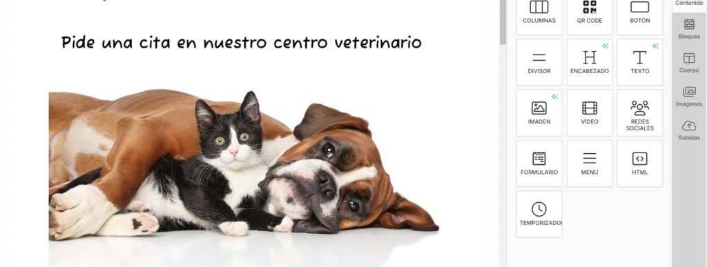 3 Veterinario Crm