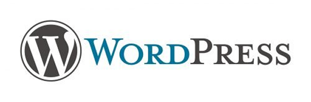 WordPress logo 500x164 1 -Clientify, CRM